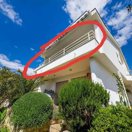 Sun & Sea זאדאר